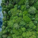 河流绿色森林树木4k风景壁纸_图片编号330855_壁纸网